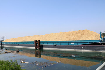 transport de sciure de bois dans une péniche