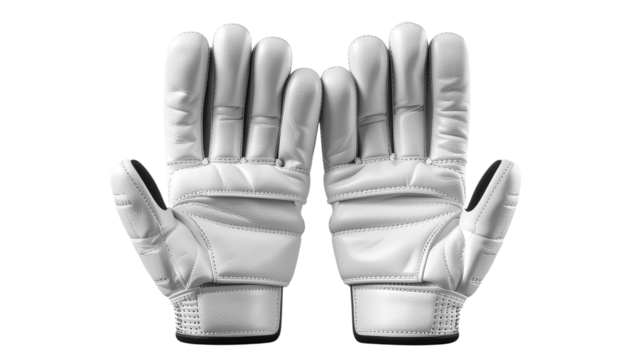 High Resolution Cricket Batting Gloves Isolated Object

Modern Cricket Gloves for Players with Leather and Padding