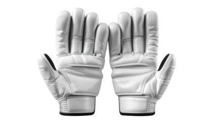 High Resolution Cricket Batting Gloves Isolated Object

Modern Cricket Gloves for Players with Leather and Padding