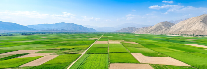 Expansive green and brown farmland stretches across landscape, framed by majestic mountains under clear blue sky