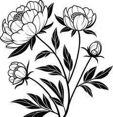 Elegant Peony Flower Line Art Illustration  Detailed Botanical Floral Drawing for Coloring and Design Projects