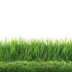 Fototapeta premium Close up view of lush green grass blades with dew drops reflecting light on a isolated on transparent background
