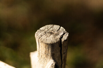 Weathered wooden post in sunlight