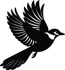 Black vector illustration of a flying eagle silhouette with wings and a feather on a white background