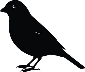 Black crow or raven vector illustration of a bird silhouette on a white background