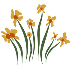 Yellow blooming flowers vector illustration, perfect for summer or spring theme design 