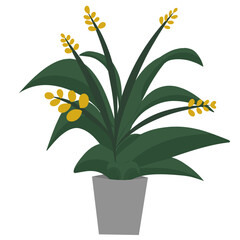 yellow orchid in a pot, vector illustration, blooming flowers with green leaves