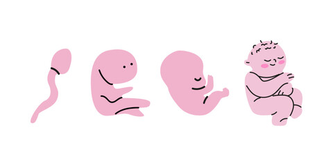 Cartoon human embryonic growth cycle stickers. Gynecology theme illustration. Human reproductive function. Medical vector illustration of foetus