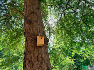 Beautiful wooden birdhouse on tree in park