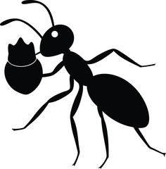 An illustrative vector set of tiny ants showing their shapes and movements