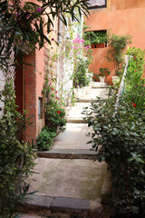 Naklejka premium Beautiful potted plants near building on city street