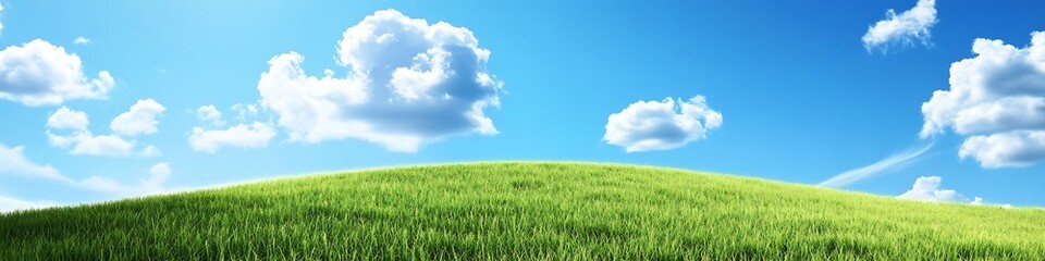 Obraz premium Landscape wallpaper of green grass field with blue sky and clouds for desktop background images