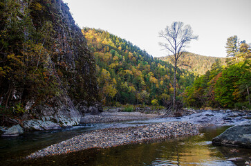 river in the mountains