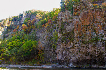 mountain landscape with trees