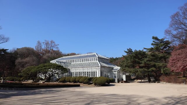 창경궁의 100년 된 대온실