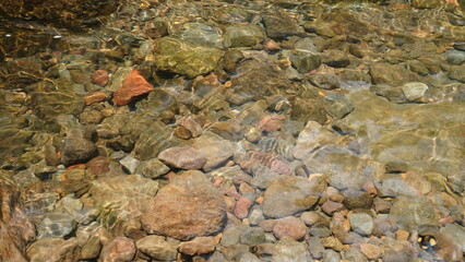 Gravel Bed Clear Stream
