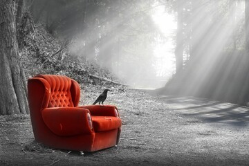 A red armchair with a black crow perched on it and a beam of rays passing through the branches of the trees.