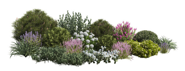 garden shrubs and bushes isolated on transparent background