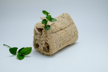 Natural loofah sponge with green plant sprouting inside, isolated on white background. Perfect for...