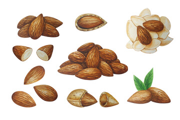 Watercolor almond nuts set. For your design