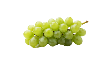 Fresh green seedless grapes bunch, natural healthy ripe fruit, organic produce food ingredient, studio shot isolated on white background for transparent PNG cutout, healthy snack, vibrant summer fruit