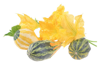 A vibrant autumn display showcases a variety of decorative gourds and pumpkins on isolated white background