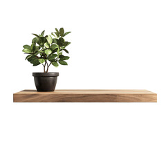 Professional Wall-Mounted Floating Shelf on White Background for Interior Design Inspiration