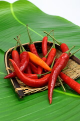 The Red of Spiciness: Spur Chilies Ready to CookThe Red of Spiciness: Spur Chilies Ready to Cook
