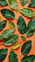 Obraz premium a flat lay of vibrant green coffee leaves scattered across a warm terracotta orange background.