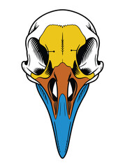 Colorful Bird Skull Vector Illustration in Detailed Artistic Style, skull vector, wildlife vector.