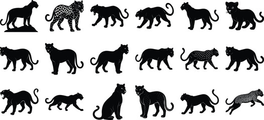 Obraz premium A silhouette of a leopard, on white background.