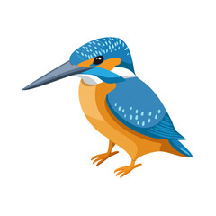 Obraz premium Kingfisher Isometric Icon