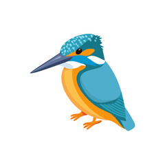 Obraz premium Kingfisher Isometric Icon