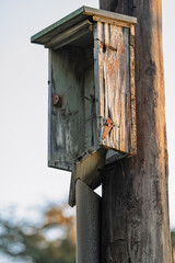 Damaged bird house on a pole