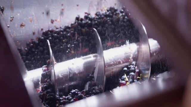 Fabrication du vin Fran&ccedil;ais