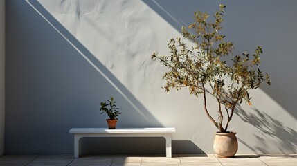 Sunlight and Shadow Play on a Textured Wall with Potted Plants in an Outdoor Setting