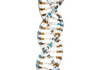 Transparent DNA molecule model isolated, double helix structure with orange and blue elements on a...