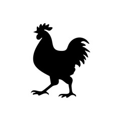 rooster vector illustration