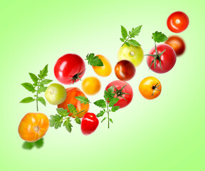 Different fresh tomatoes and leaves falling against light green background