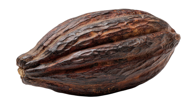 Cocoa bean background isolated on a Transparent background, PNG file.