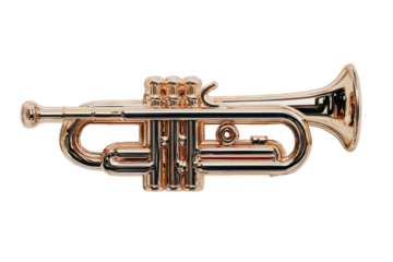 Shiny brass instrument on a black background, rendered with smooth curves, highlighting its details