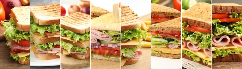 Tasty sandwiches with different fillings, collage. Banner design