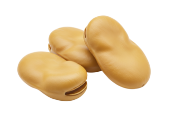 Three fava beans isolated on transparent background, broad beans or horse beans, healthy legume food ingredient in PNG format