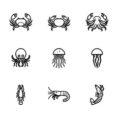 Obraz premium Vector silhouettes of starfish in various forms, black and white, simple line art style 25.eps