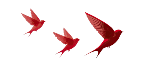 Three stylized crimson birds in flight against a black background. Detailed illustration, with wings extended