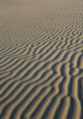 Obraz premium Ripples and shadows in the sand create abstract pattern, evoke tranquility and peace.