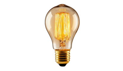 A lightbulb with an internal spiral filament, glass, and brass base on a black background