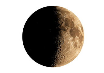 Half moon isolated on transparent background, detailed lunar surface with craters and shadows, astronomical object in PNG format