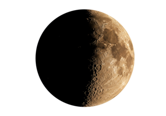 Half moon isolated on transparent background, detailed lunar surface with craters and shadows, astronomical object in PNG format
