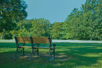 Park bench